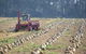 Australian Pumpkin Seed Company - thumb 2