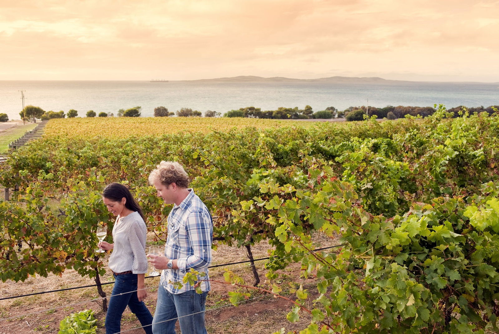  Hobart Tourism
