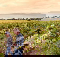 Boston Bay Wines - Hobart Tourism