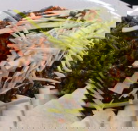 Dede Indonesian and Thai - Tourism TAS