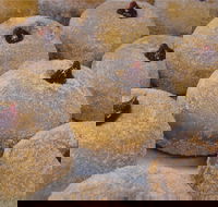 Miami Bakehouse Mandurah - Hobart Tourism