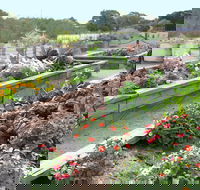The Farmer's Place - Hobart Tourism