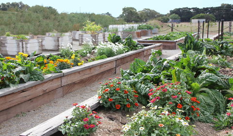 The Farmer's Place - Hobart Tourism 0
