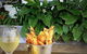 2 Fish Seafood Restaurant - thumb 8
