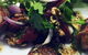 Luscious Organic Cafe & Shop - thumb 0