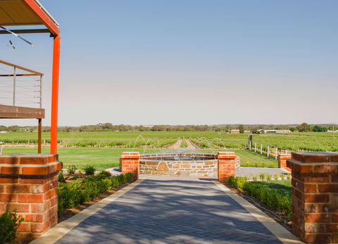 Calabria Family Wines Barossa - Hobart Tourism 2