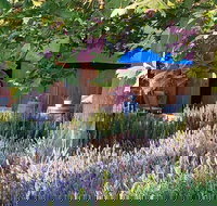 Macquariedale Organic Wines