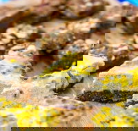 Charlie's Raw Squeeze - Greenslopes - Hobart Tourism