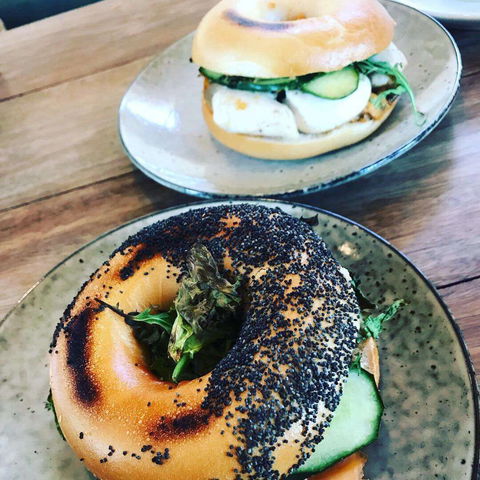 Church Of Secular Coffee - Hobart Tourism 0