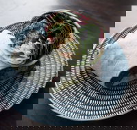 Merlo - Indooroopilly - Hobart Tourism