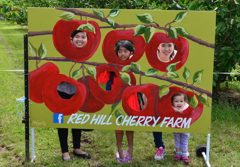 Red Hill Cherry Farm - Hobart Tourism 1
