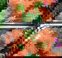 Sushi Izakaya Bar - Hobart Tourism