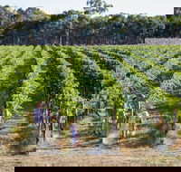 Weathercraft Wines - Hobart Tourism