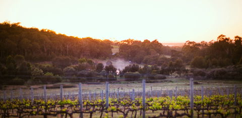 Howling Wolves Wines - Hobart Tourism 0