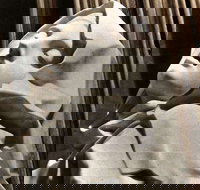 KFC - Joondalup - Tourism TAS