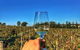 Lake's Folly Vineyard - thumb 1