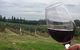 Lake's Folly Vineyard - thumb 2