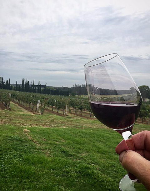 Lake's Folly Vineyard - Hobart Tourism 2