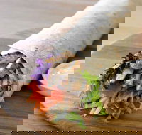 Le Wrap - Penrith - Hobart Tourism