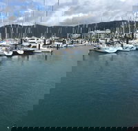 The Silver Fox - Hobart Tourism