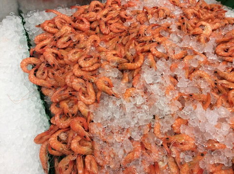 Pearly Oyster Bar And Farm - Tourism TAS 1