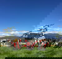 Red Feet Wines - Hobart Tourism