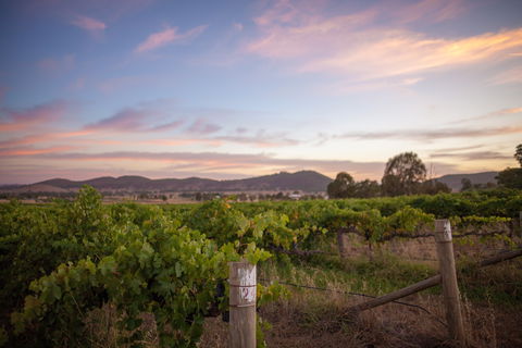 Thistle Hill Wines - Tourism TAS 2