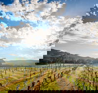 Fallen Giants Vineyard - Tourism TAS