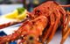 Freycinet Marine Farm - thumb 0