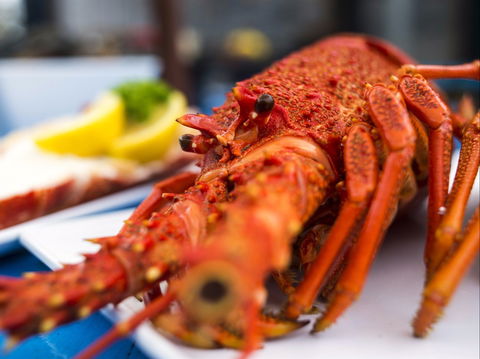 Freycinet Marine Farm - Hobart Tourism 0