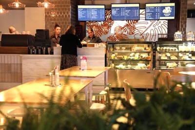 Good Drop Cafe - St Marys Band Club - Hobart Tourism 0