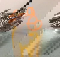 Where Ya Bean - Tourism TAS