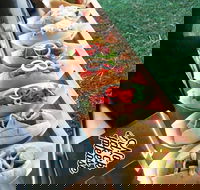 Balter Brewing Company - Tourism TAS