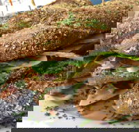 Bean Out - Hobart Tourism