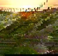 Bennetts on Bellarine Winery - Tourism TAS