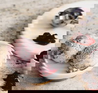 Gelatissimo - Artarmon - Tourism TAS