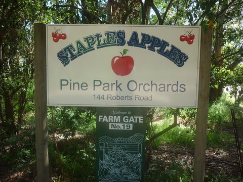Staples Apples - Tourism TAS 2