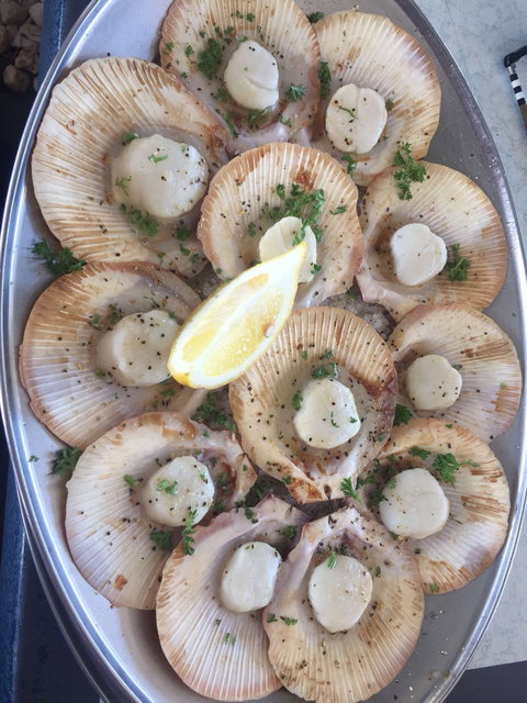 The Deck On Parkyn - Tourism TAS 0