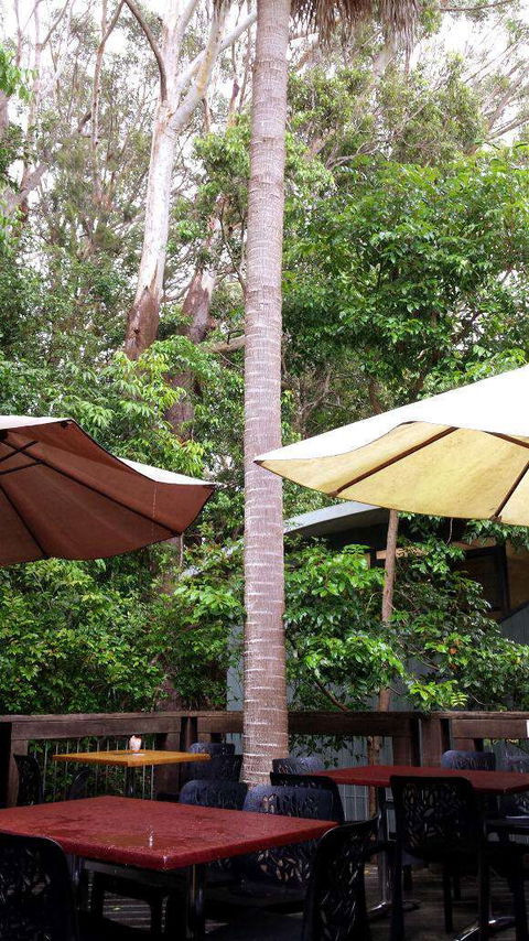 Rainforest Cafe - Hobart Tourism 0