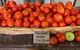 Reader’s Café And Larder - thumb 2