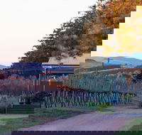 Rowlee Wines - Tourism TAS