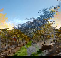 Ruddenklau Wines - Hobart Tourism