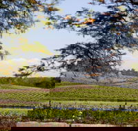 Wynwood Estate - Hobart Tourism