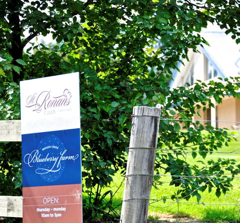 Badger Creek Blueberry Winery - Hobart Tourism 1
