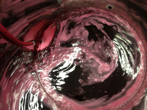 Badger Creek Blueberry Winery - Hobart Tourism 2