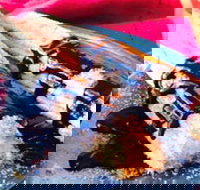 Donut King - Northcote - Tourism TAS