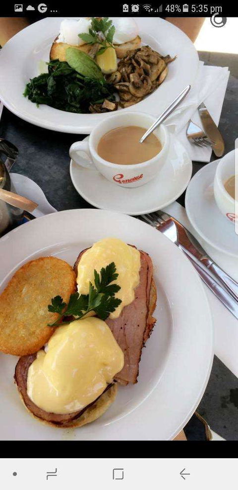 Happy River Cafe - Hobart Tourism 0