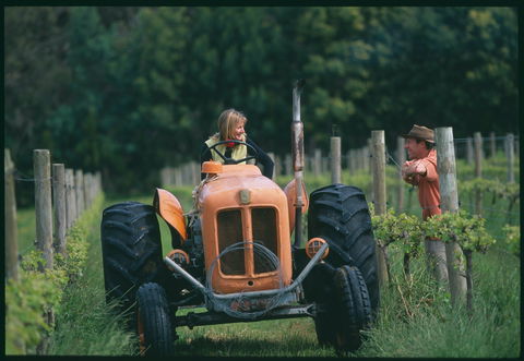 Oranje Tractor Wine - Hobart Tourism 0