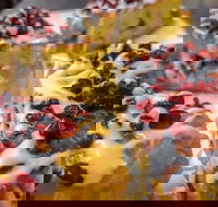 Persian Room 248 - Tourism TAS