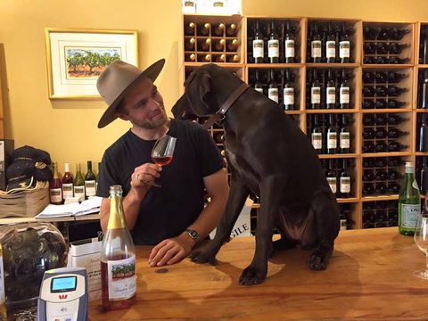 Vinden Estate Wines - Hobart Tourism 1